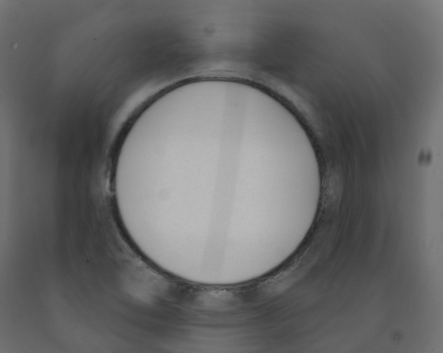 X0000091991462200710041120