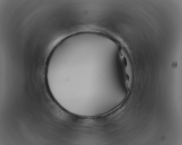 X0000091991463200710041120