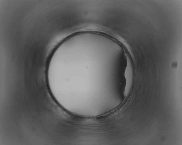 X0000091991464200710041120