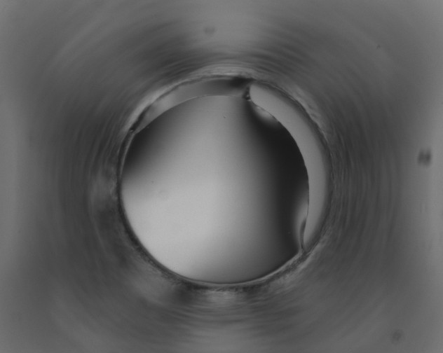 X0000091991465200710041120