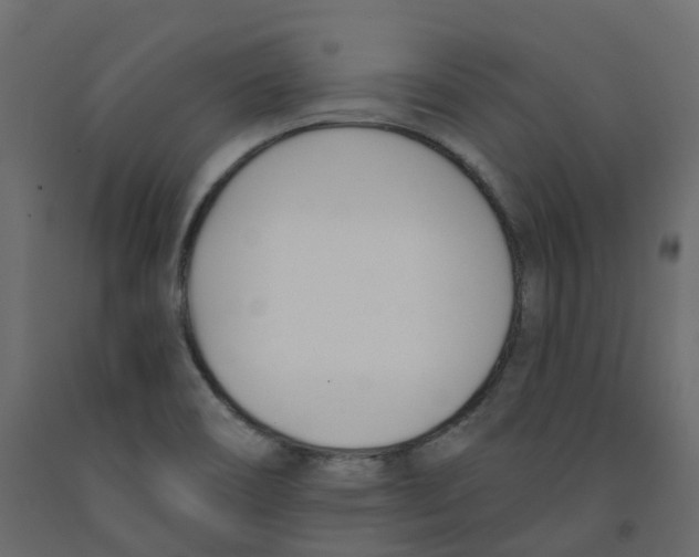 X0000091991466200710041120