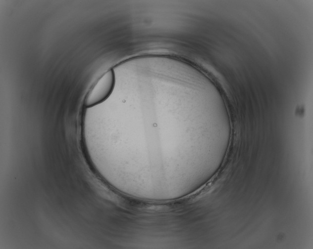 X0000091991467200710041120