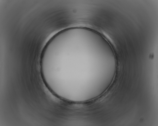X0000091991468200710041120