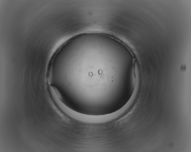 X0000091991469200710041120