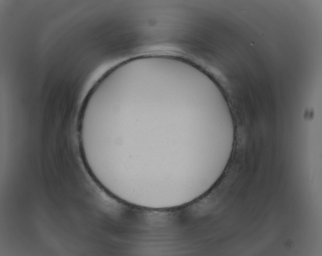 X0000091991470200710041120
