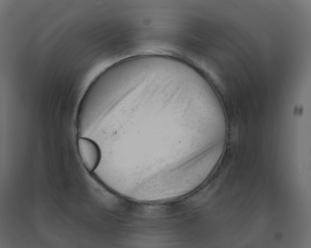 X0000091991471200710041120