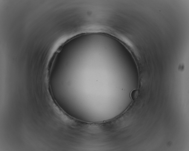 X0000091991472200710041120