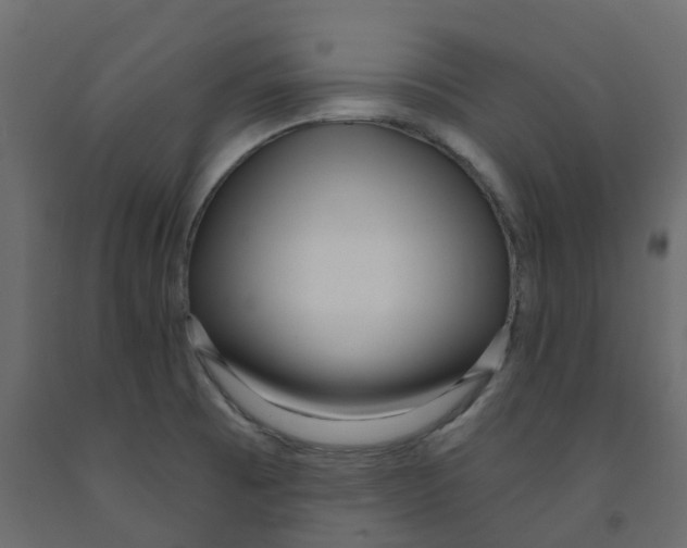 X0000091991473200710041120