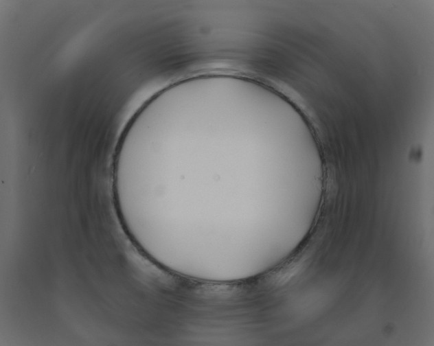 X0000091991474200710041120