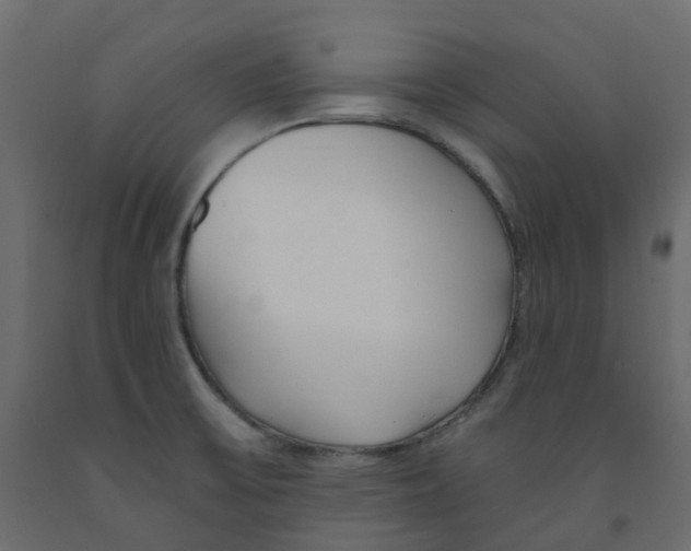 X0000091991475200710041120