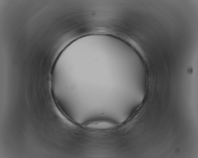 X0000091991476200710041120