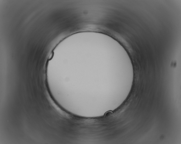 X0000091991479200710041120