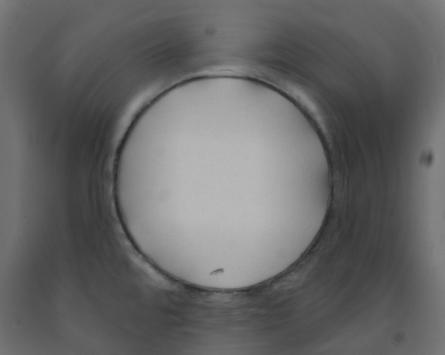 X0000091991480200710041120