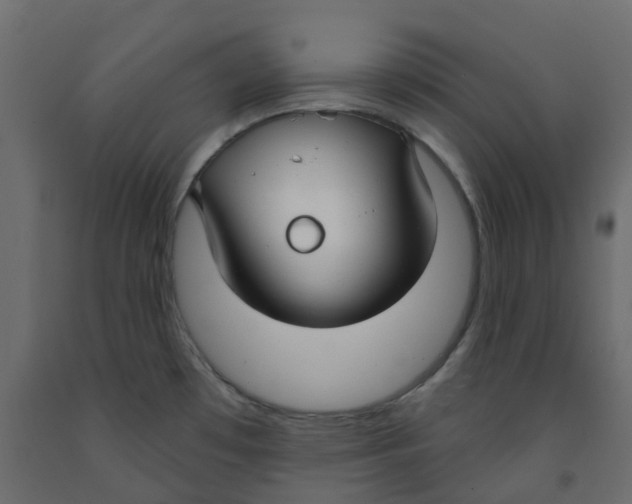 X0000091991481200710041120