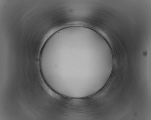 X0000091991482200710041120