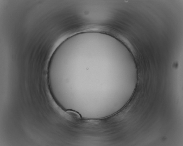 X0000091991483200710041120