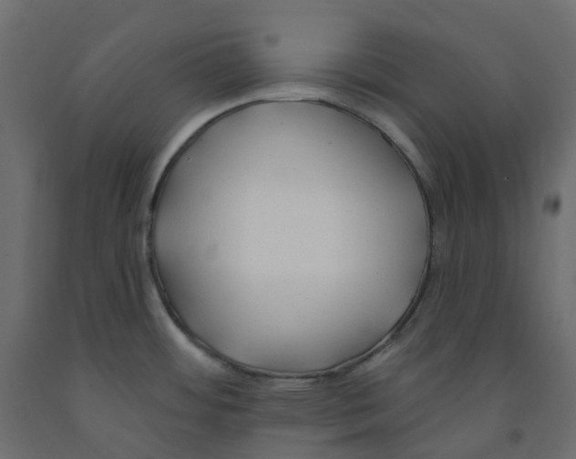 X0000091991484200710041120