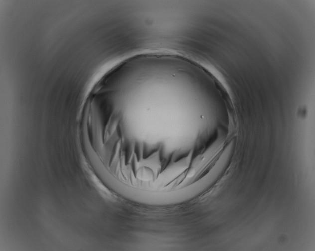 X0000091991485200710041120