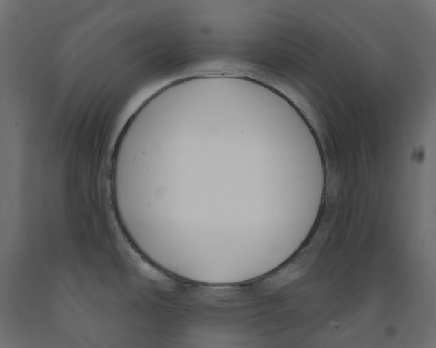 X0000091991486200710041120