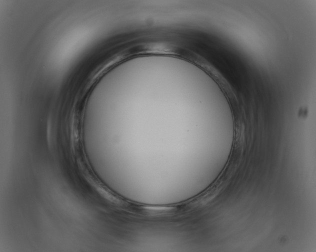 X0000091991487200710041120