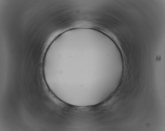 X0000091991488200710041120