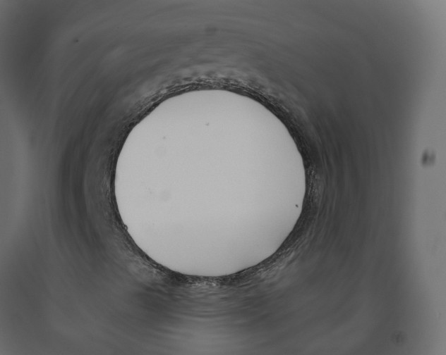 X0000091991489200710041119