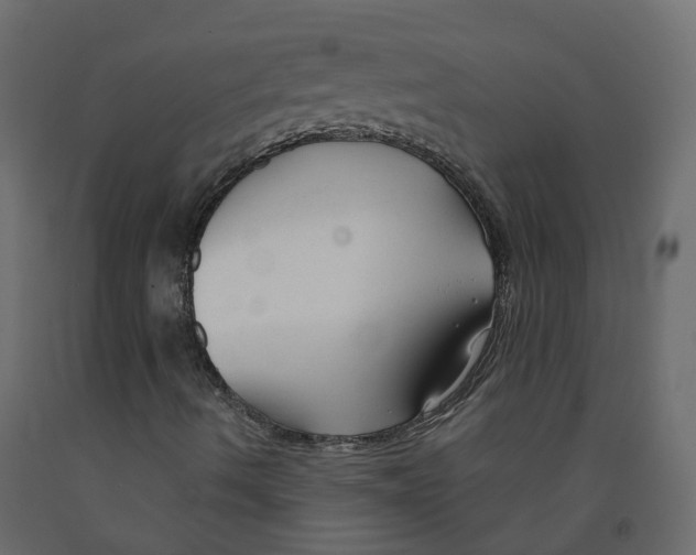 X0000091991490200710041119