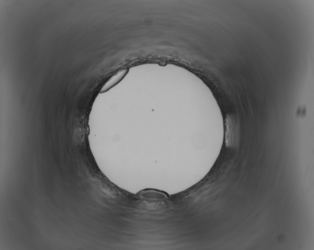 X0000091991491200710041120