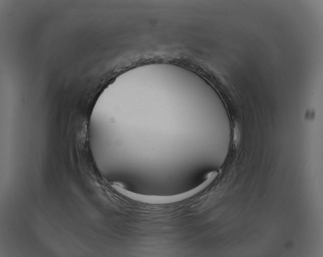 X0000091991492200710041120