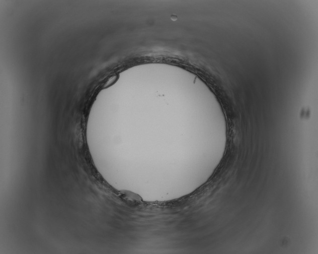 X0000091991493200710041120