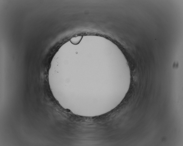 X0000091991495200710041120