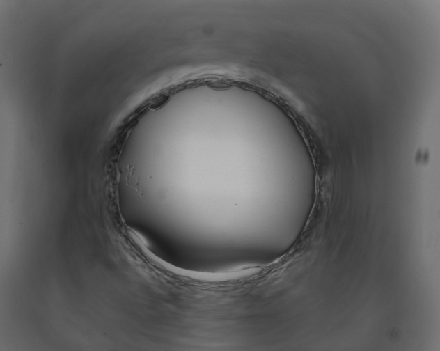 X0000091991496200710041120