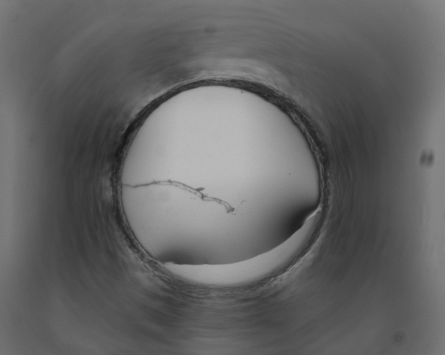 X0000091991497200710041120