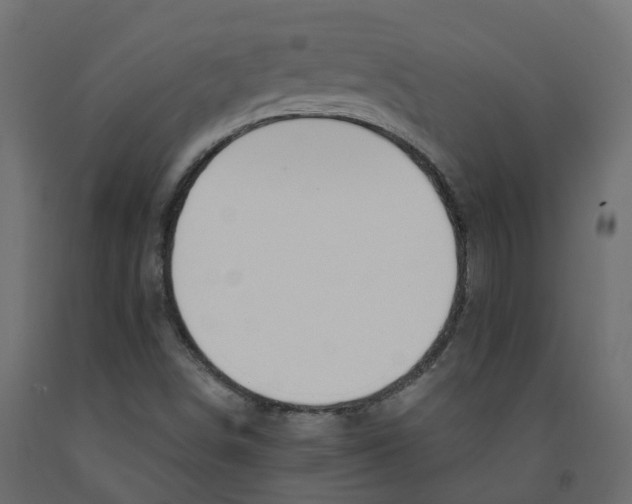 X0000091991498200710041120