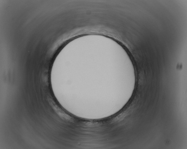 X0000091991499200710041120