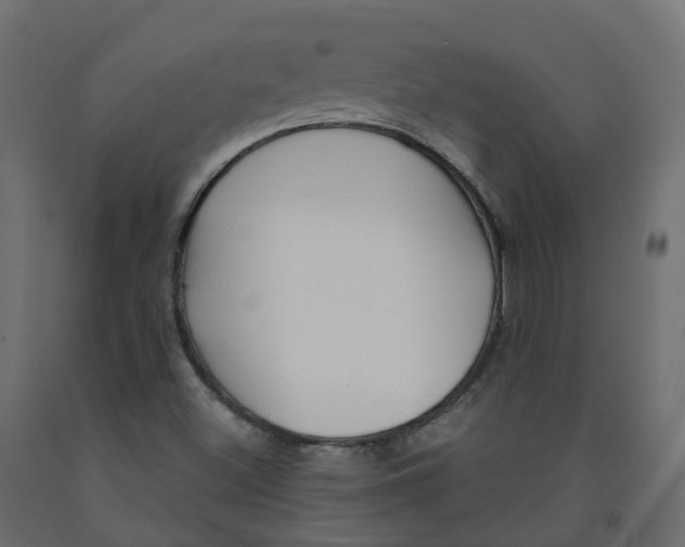 X0000091991500200710041120