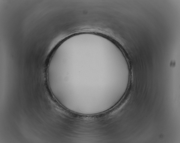 X0000091991501200710041120