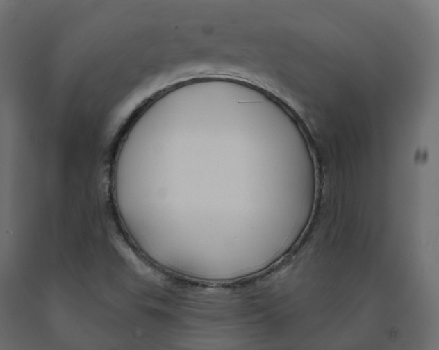 X0000091991503200710041120