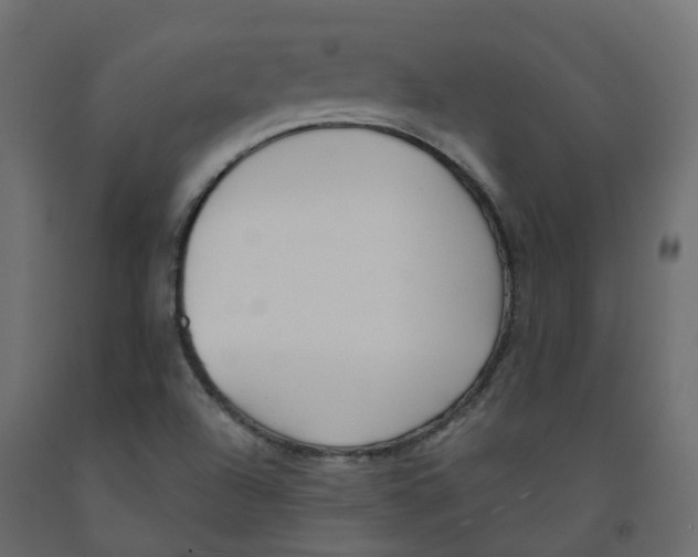 X0000091991504200710041120