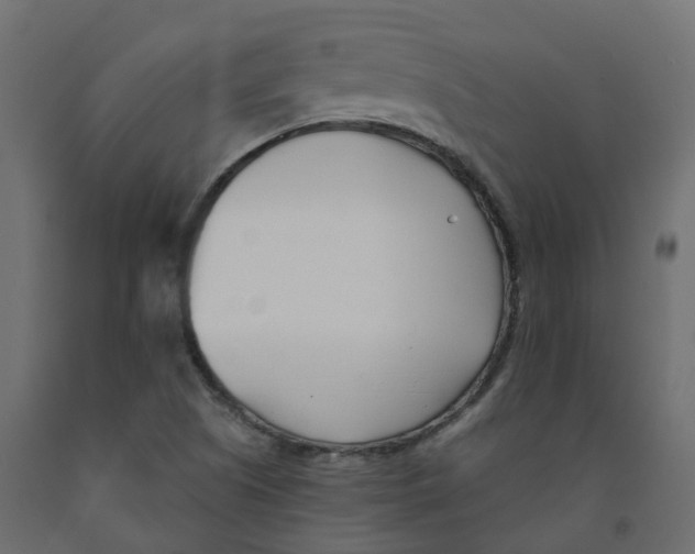 X0000091991505200710041120
