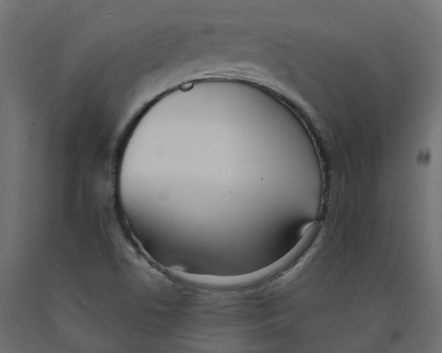 X0000091991506200710041120