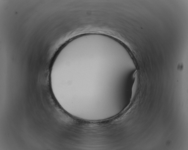 X0000091991507200710041120