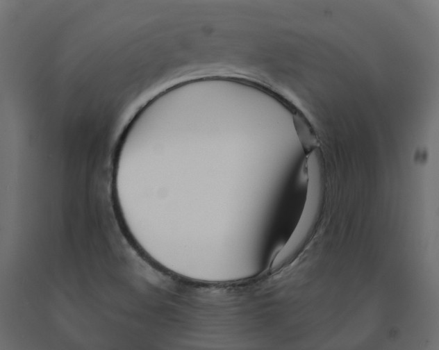 X0000091991508200710041120