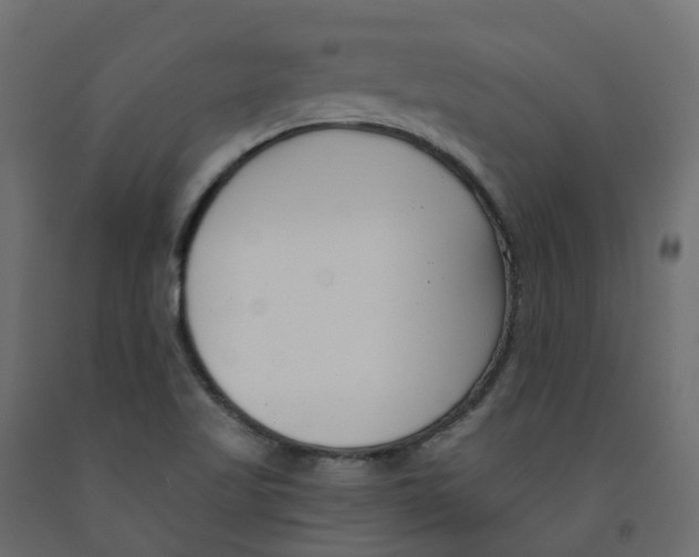 X0000091991509200710041120