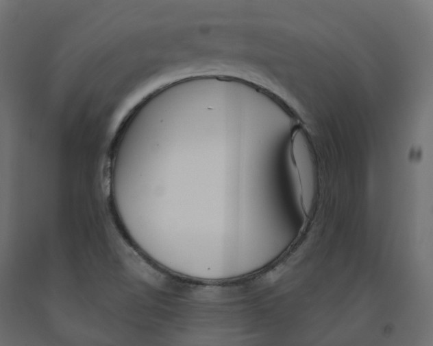 X0000091991510200710041120