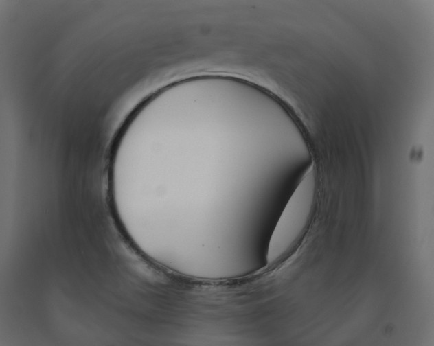 X0000091991511200710041120