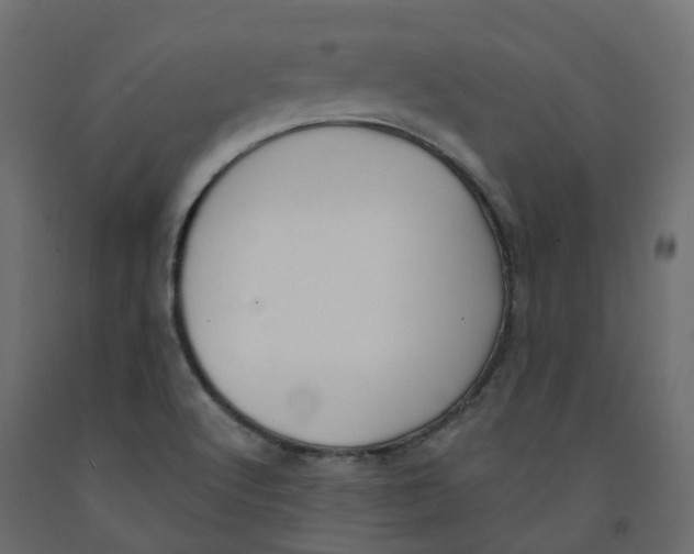 X0000091991512200710041120
