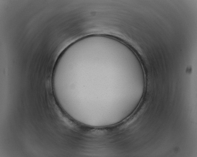 X0000091991513200710041120