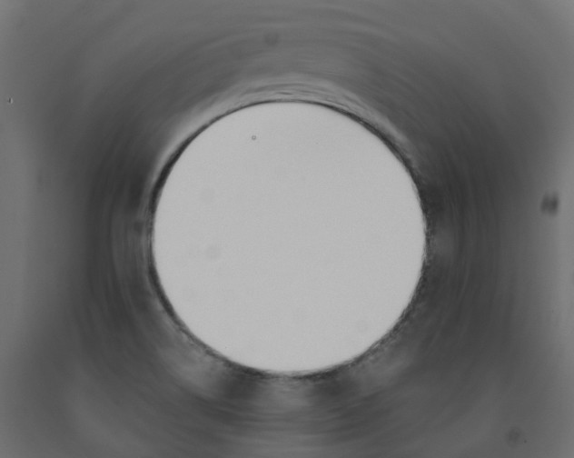 X0000091991514200710041120