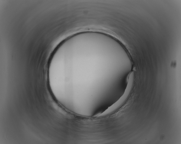 X0000091991515200710041120